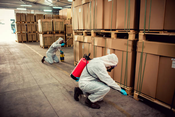 Best Affordable Pest Control Services  in Cherokee Village, AR