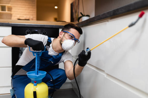 Best Termite Control Services  in Cherokee Village, AR