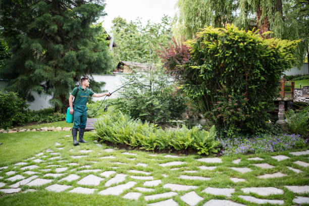 Best Pest Inspection Near Me  in Cherokee Village, AR