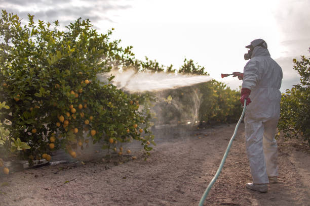 Best Affordable Pest Control Services  in Cherokee Village, AR