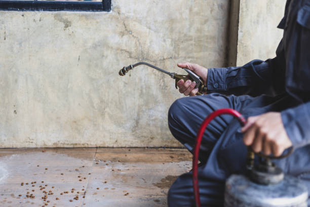Best Best Pest Control Companies  in Cherokee Village, AR